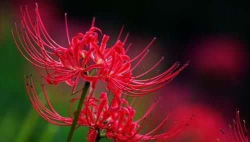  真朋|“真朋好友，一试便知”：用这四种方法验证朋友，会净化你的圈子