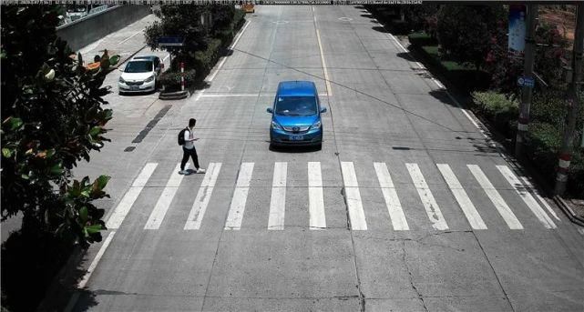 驾驶机动车违反道路|泰顺这些车主被曝光！