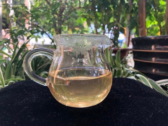 景迈芒|老徐鉴茶369：2019景迈芒景古树春茶品鉴报告（黑龙江）