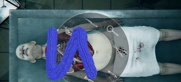 法医学|我是法医学的法官，教皇和毒贩无间道，你想知道吗