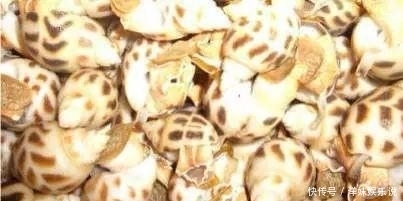 海鲜|海鲜大全, 你能认出多少