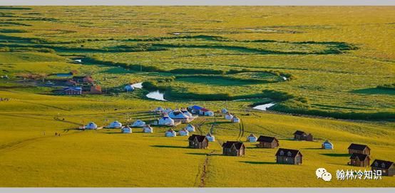 草原|为何草原上的草 “野火烧不尽，春风吹又生”