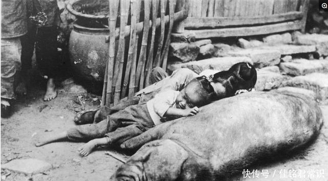 心酸|10张罕见历史老照片：图2让人心酸、图8让男人忍不住多看几眼