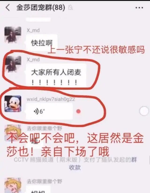  阿朵|《乘风破浪的姐姐》复活赛名额确定？阿朵排名第一，许飞卡在第8