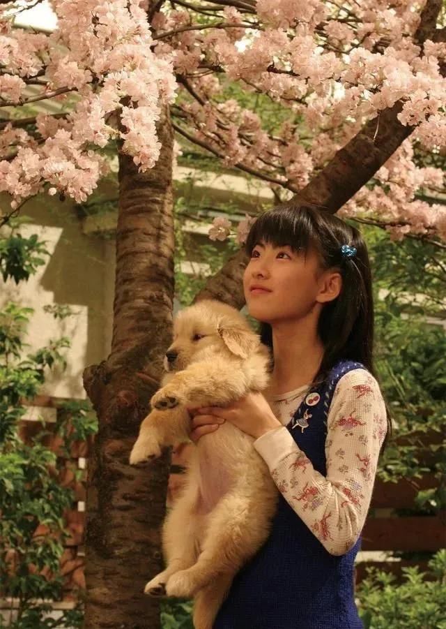  上海|上海首例！遗弃宠物犬被公安机关处罚！如果不爱请别养