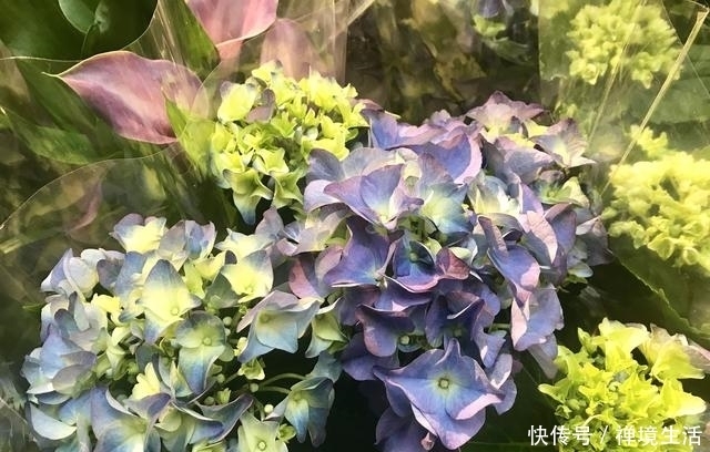 冷静|7.15-17星座运势:金牛保持冷静,天秤魅力四射,水瓶另眼相看