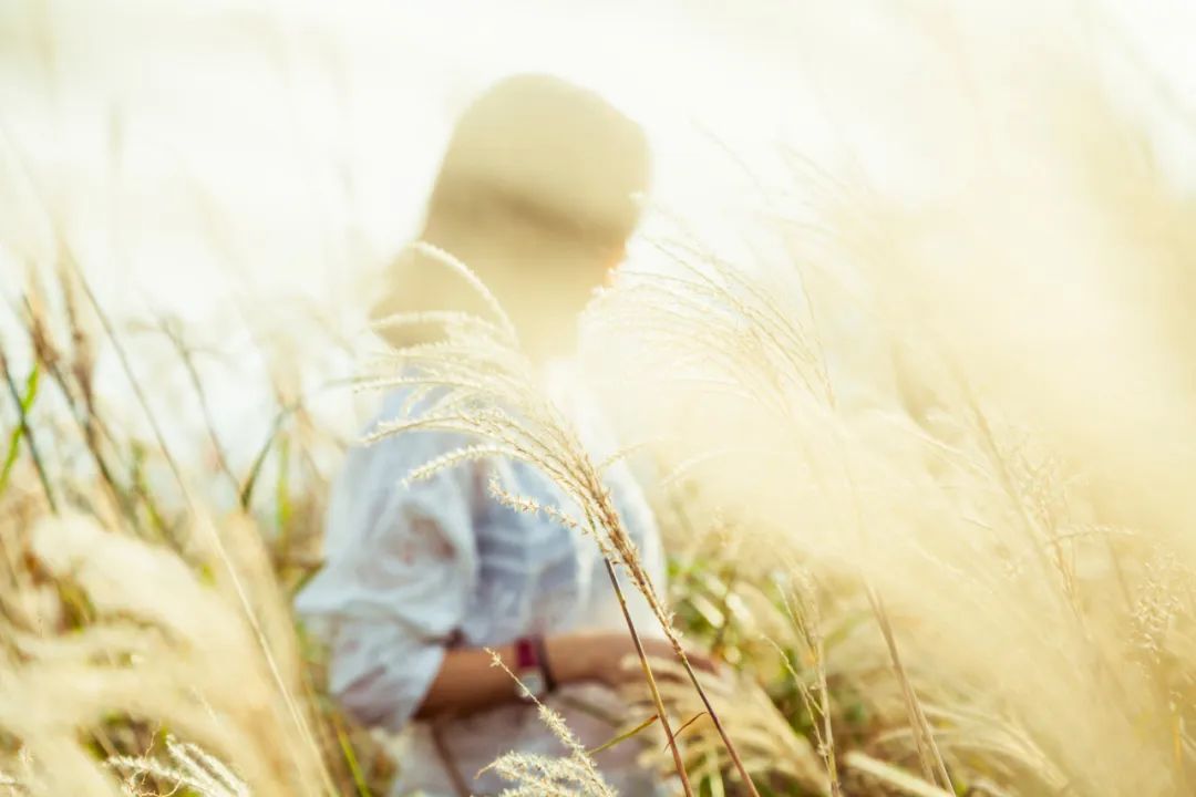  女人|脾胃不好的女人，身体真的很遭罪！