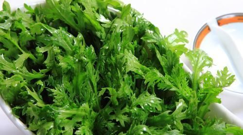 感冒|很多人不认识此菜,每周吃两次,止咳化痰不咳嗽,预防感冒效果好