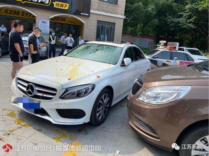 奔驰车|车位被堵，男子花18块钱买鸡蛋怒砸奔驰车！结果赔了2.1万