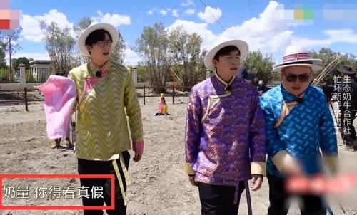  奶牛|《极挑》岳云鹏调侃“真假奶量”谐音梗，隔空内涵贾乃亮