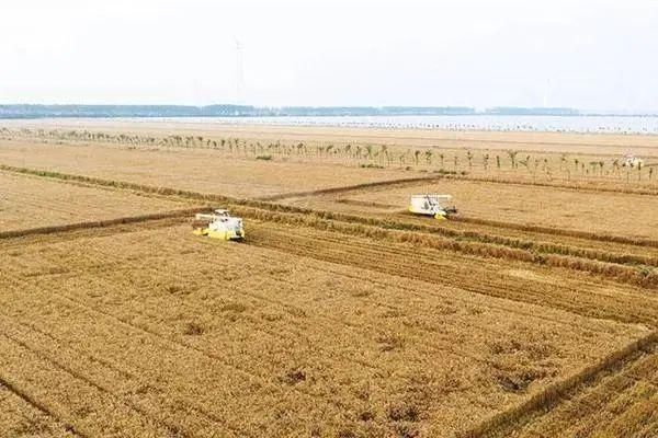  卫星|定位精度2.34米，你拍了拍“北斗卫星，说真是太好用了”