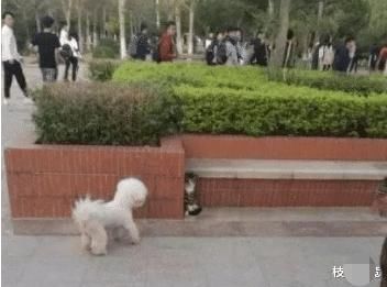 男朋友|男朋友家“拆迁款”有300w，让他给100w彩礼，这个要求不过分吧？