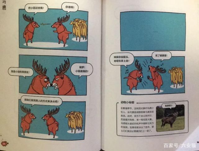 本事来吃|拥有美貌的麝雉,为什么屡屡遭到拒绝,只因为它自带体“香”