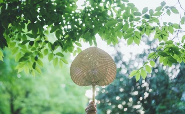 三暑|小暑，“上蒸下煮”，最热天气正在赶来“三暑”“三伏”究竟有啥联系