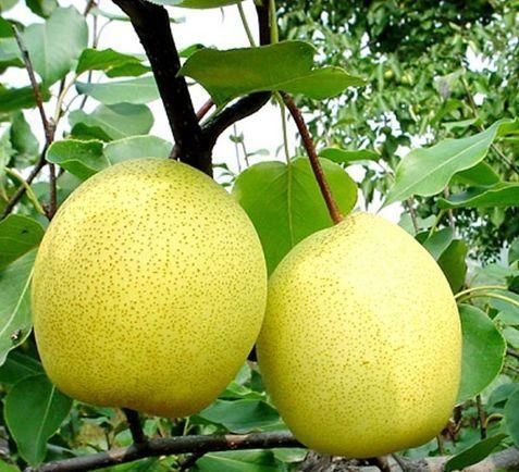  食物|夏天了，常吃3种食物，美容抗衰，保护心血管，早吃早受益！