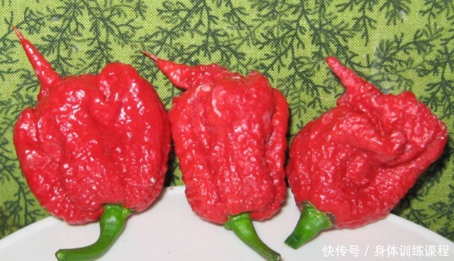 最辣|世界最辣的辣条,一盒里面只有一根,挑战者吃完后被送去洗胃