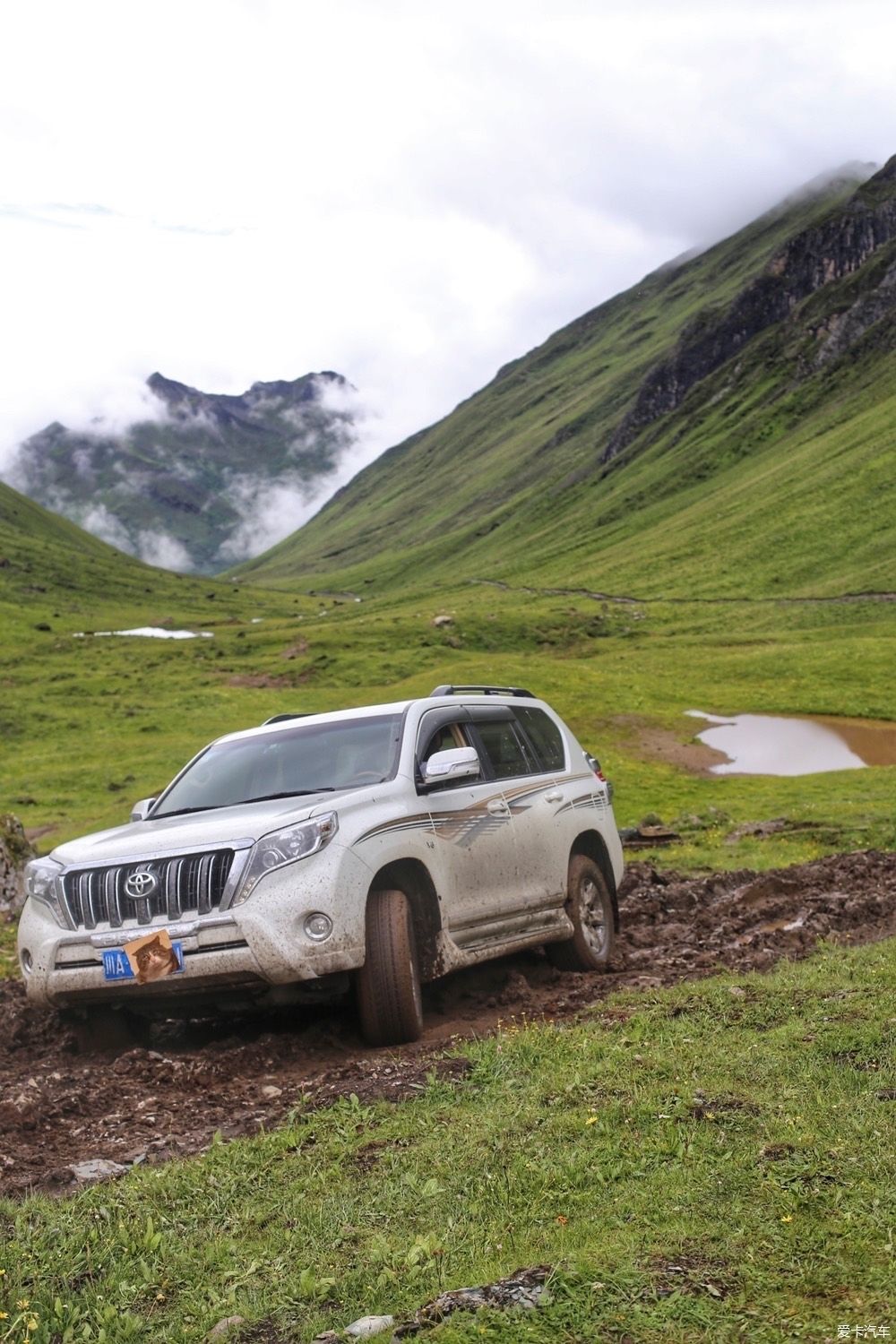  夏天|终于走了宝康线，夏天出行真是拼人品