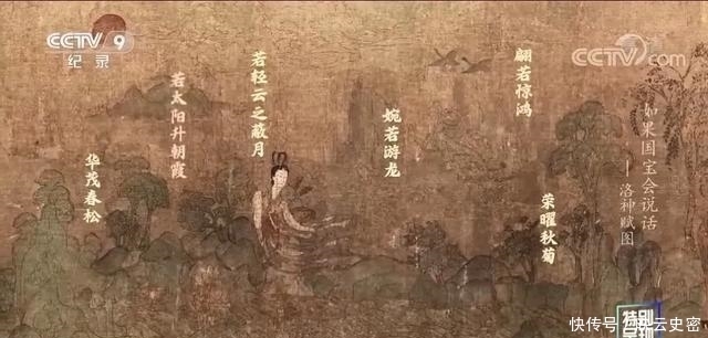 高分|央视一出手,季季9.9高分!这神作终于回归