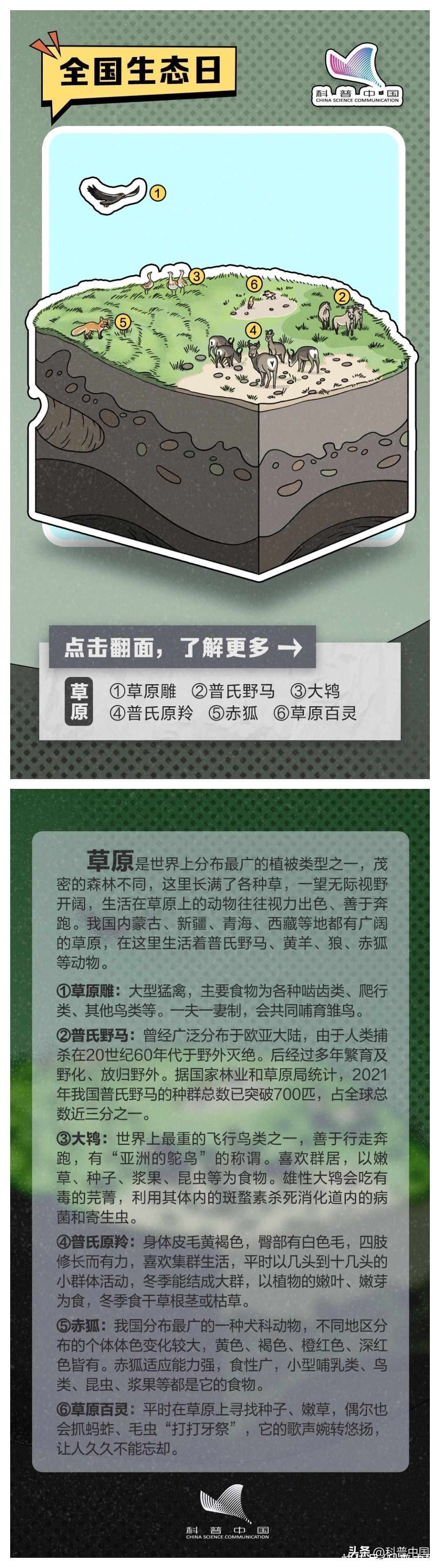 地球上最值得去的 8 个地方，你去过几个？2023