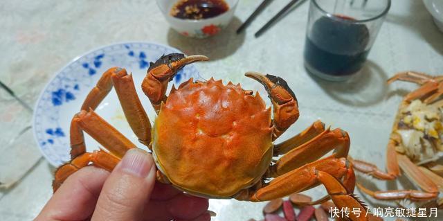 不错|今年你吃螃蟹了吗我已经吃了两次了,味道还不错