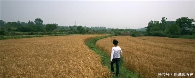 网民|脑瘫诗人余秀华有错吗?丈夫嘲笑网民谩骂,打不倒的她变得更强大