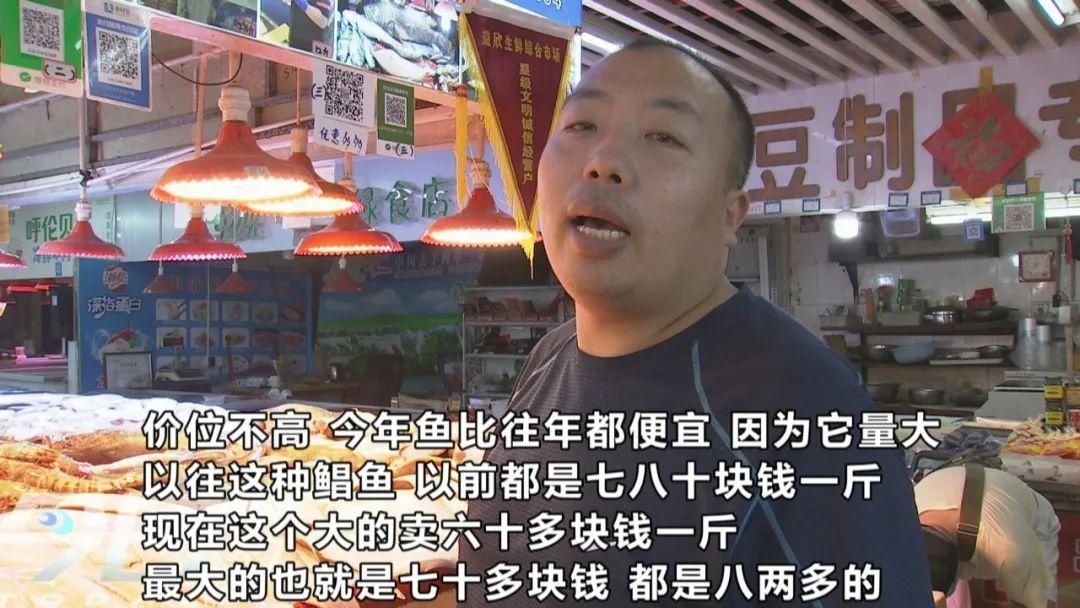 大鱼|青岛海鲜市场现一米多长大鱼！很多老青岛都不认识……