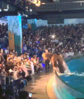 GIF|搞笑GIF:①现在的高手过招,都是隔空互怼,非接触的!