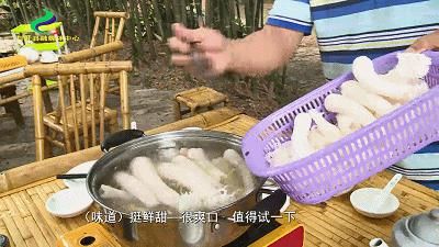 美食|美食正当季，“舌尖上的美食”声名远扬！