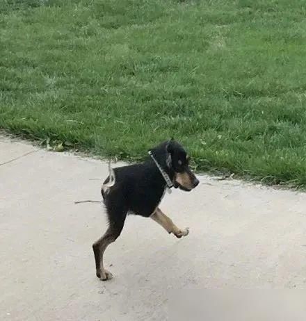  通知书|吴彦祖近照曝光；大张伟又添扎心金句；林俊杰粉丝录取通知书