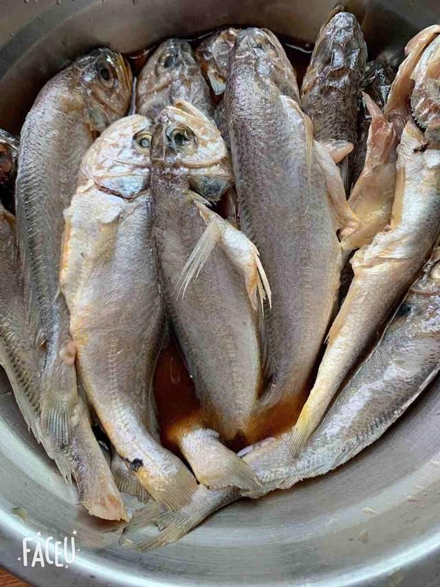  为新鲜|被“误解”最深的一种鱼，6元一斤没人买，比带鱼营养，比鲫鱼香