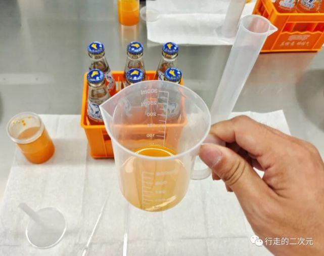 快乐|北冰洋回来了,你的快乐回来了吗?