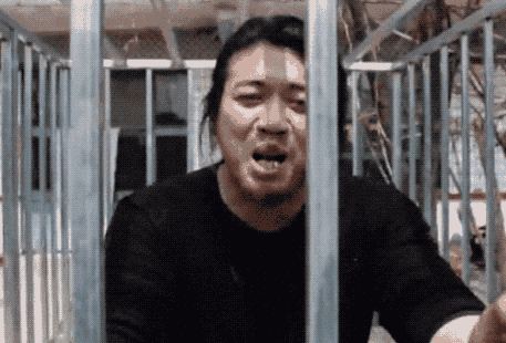 收获|他就这样收获了几百万粉丝？