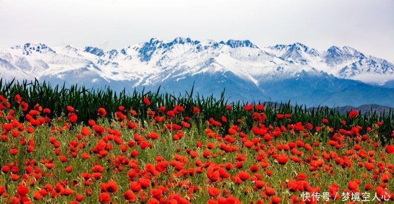 收复|此地一直是中国领土，差点被遗弃，收复后发现上百亿吨石油！