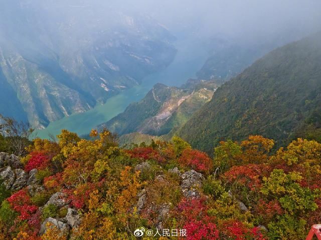  迎来|美！重庆巫峡红叶迎来最佳观赏季