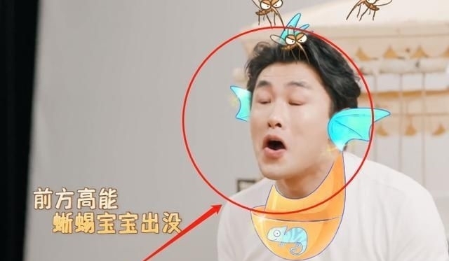 表演|杨迪黄渤才艺表演大比拼，看到渤哥的独创变脸后，直接笑出猪叫声