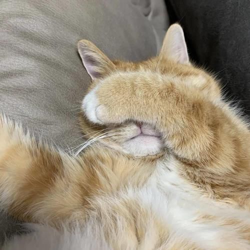 不生|“丁克家庭数量达60万”：那些不生孩子的家庭后来怎么样了？