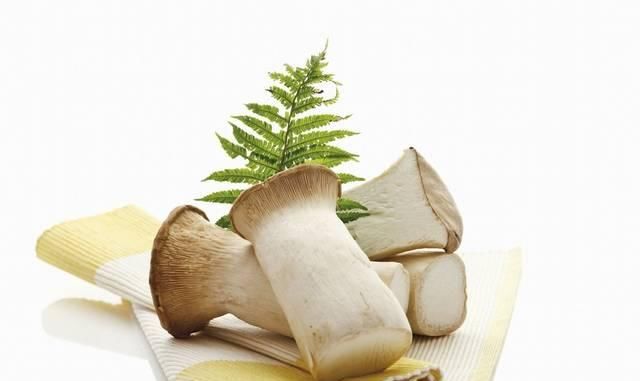 类似杏仁|怎样挑杏鲍菇呢，选择杏鲍菇有哪些误区