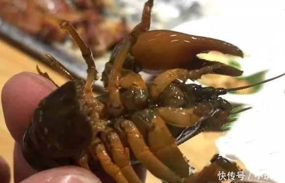 大叔|大叔街边卖“海鲜”,60元一斤,以为是龙虾,看清后我包下5斤