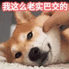  驾驶员|司机追尾被困车内，消防员来了这样做……