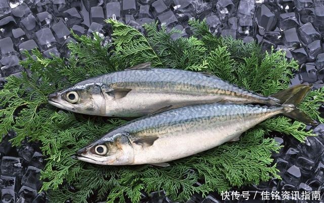 小方法|怎样保存鲜鱼直接放冰箱就错了,多加1步,随时吃都新鲜