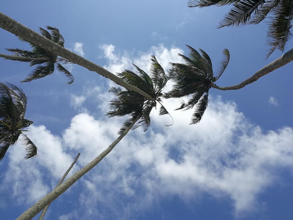 身份|身份信息被盗贷款逾期六年，银行主动还清贷款，对自己有影响吗？