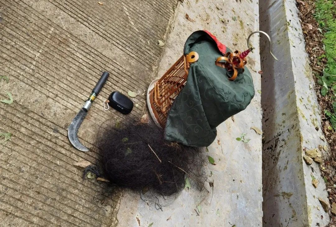  男子|国家级自然保护区内撒网捕鸟，一男子被当场抓获