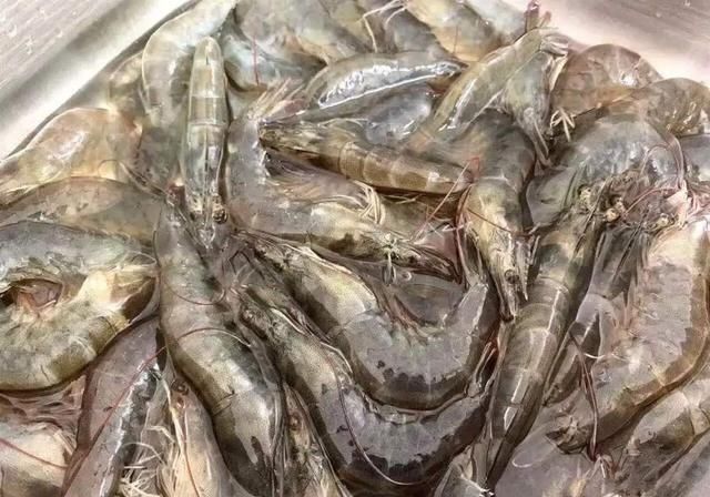  告诉|吃虾之前，到底要不要去虾线？老厨师告诉你答案，别再吃错了