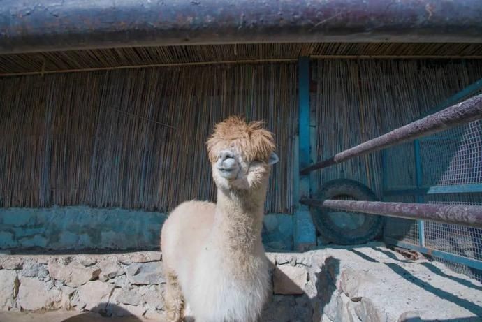  农场|8月来临！一起去天空之上的农场种菜野炊、烧烤露营，找寻那份简单的快乐~