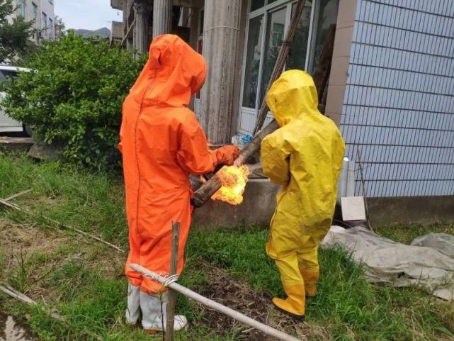  用杀虫剂|吓人！黄岩多位市民家中发现马蜂窝，大如脸盆