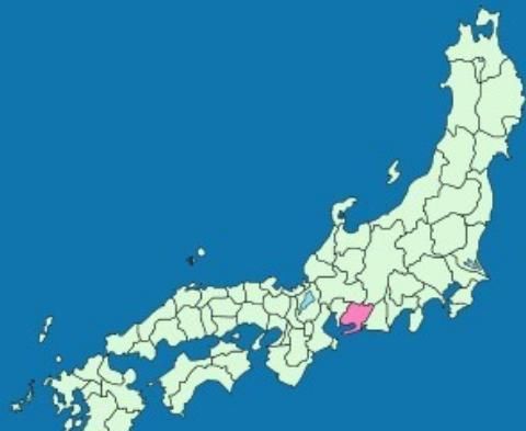 夫人|德川家康的首任夫人,为何最终成为了政治斗争过程中的牺牲品?