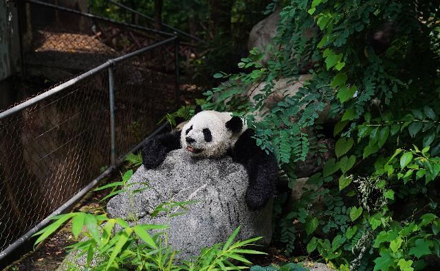  寻味|寻味成都 | 一座来了就不想走的城，一台开了就不想下的车