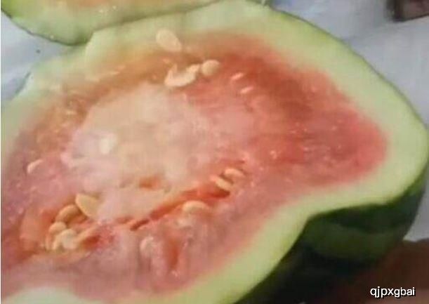 土豪|土豪买到“元宝”西瓜，回到家切开之后，开始心疼了