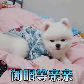 天赋|从零基础、没天赋的小白到熟练上手色彩静物，到底需要多少步？