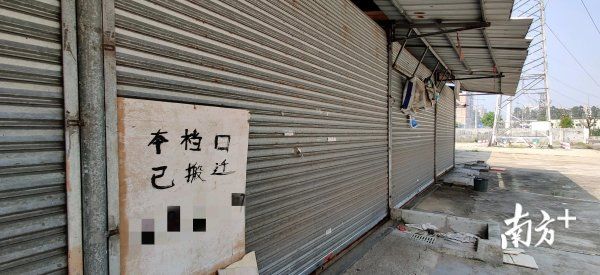 水生动物|追踪丨蓬江严查售卖野生动物违法行为，暂扣16只疑似“石金钱”